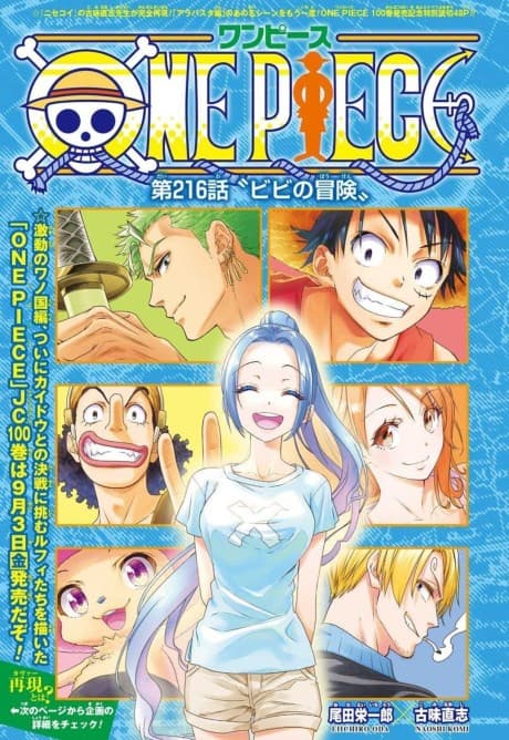 ONE PIECE: Vivi no Bouken
