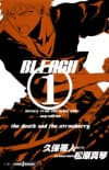Bleach: Letters From the Other Side